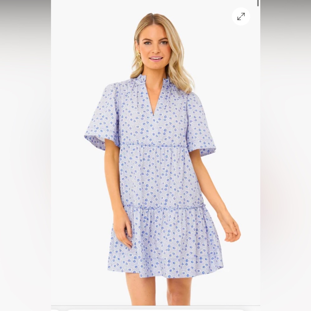 Tuckernuck Crawford Dress